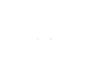 Ecommerce Awards Logo
